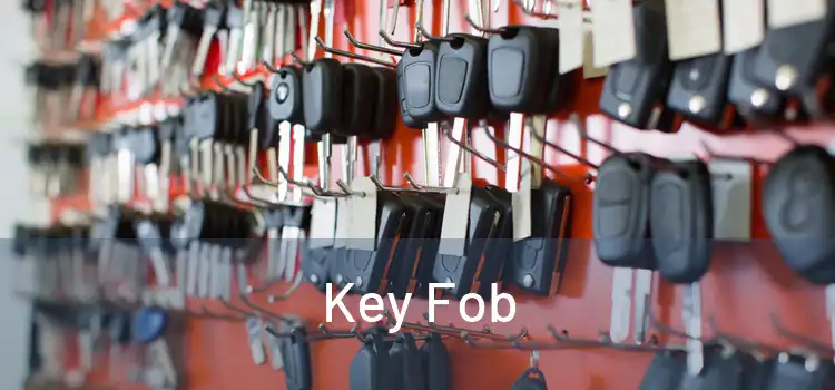  Key Fob 